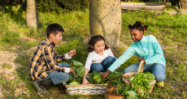 6 Small Steps to Teach Your Children to Live Sustainably